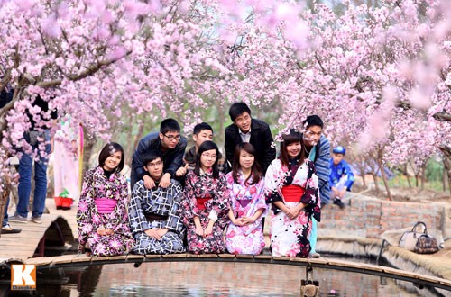 Nên đi du học Nhật Bản ở khu vực nào?