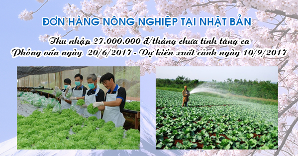 [Tuyển 10 (nam) làm nông nghiệp tại tỉnh Ibaraki, Nhật Bản]