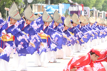  Gọi mời điệu múa Yosakoi